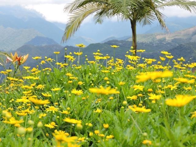 Hotel Reserva Monarca 살렌토 외부 사진